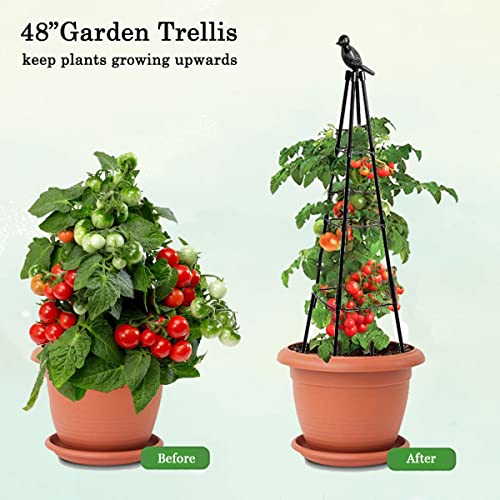 Garden Trellis, 1 PCS Support Plant Stand for Climbing Plants Outd...