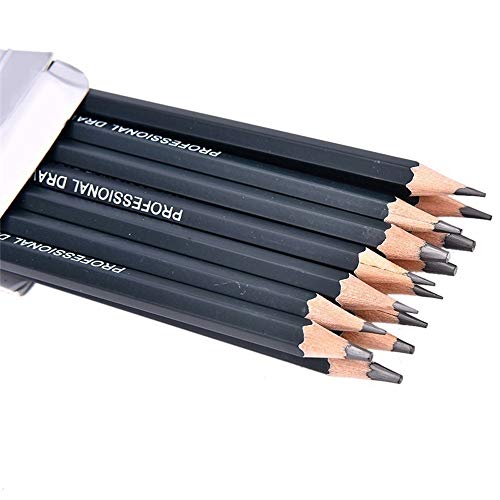 Celiy Art Sketch, 14PC Painting Tool 6H-12B Professinal Sketch Art...