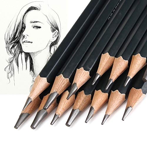 Celiy Art Sketch, 14PC Painting Tool 6H-12B Professinal Sketch Art...