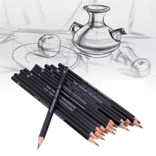 Celiy Art Sketch, 14PC Painting Tool 6H-12B Professinal Sketch Art...
