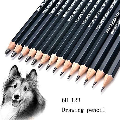 Celiy Art Sketch, 14PC Painting Tool 6H-12B Professinal Sketch Art...