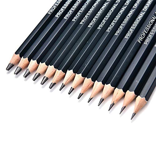 Celiy Art Sketch, 14PC Painting Tool 6H-12B Professinal Sketch Art...