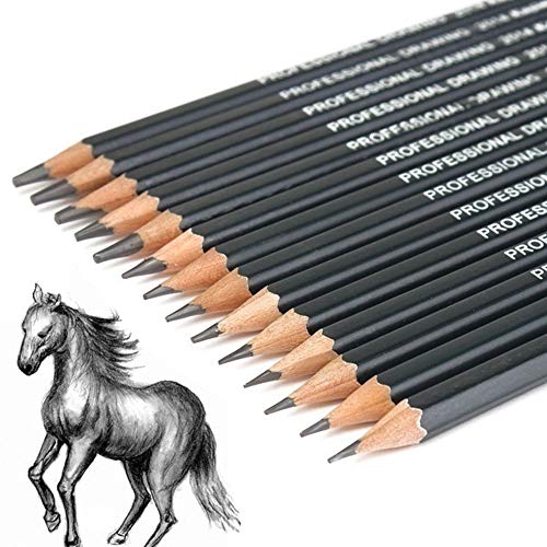 Celiy Art Sketch, 14PC Painting Tool 6H-12B Professinal Sketch Art...