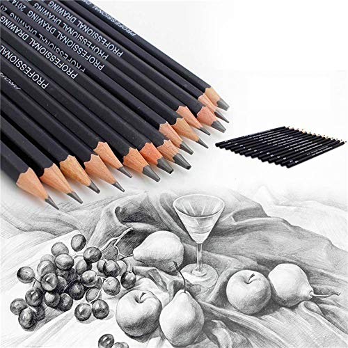 Celiy Art Sketch, 14PC Painting Tool 6H-12B Professinal Sketch Art...
