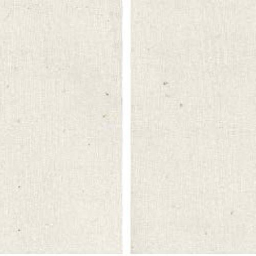 Amy Butler 100% Cotton Muslin Natural Fabric by The Yard Тwo Рack