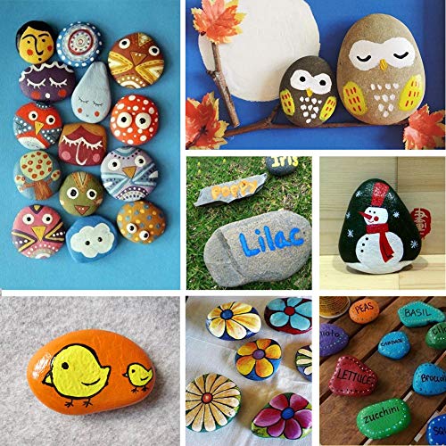 12 PCS Acrylic Paint Markers Paint Pens for Rocks, Wood, Metal, Gl...