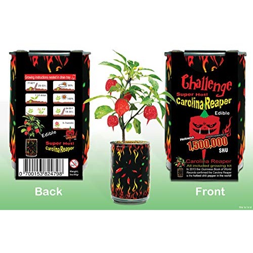 Challenge Super Hot Carolina Reaper Plant Kit
