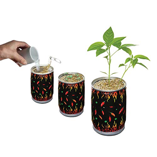 Challenge Super Hot Carolina Reaper Plant Kit