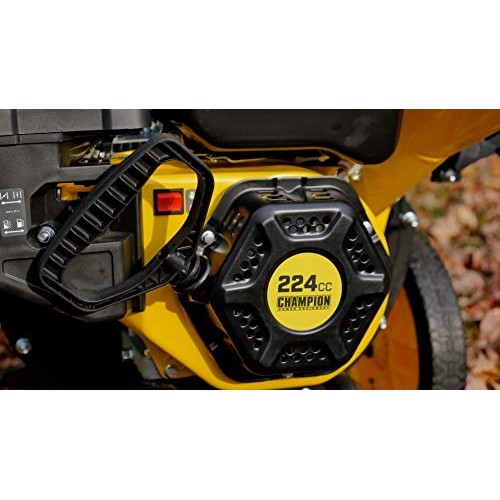 Champion Power Equipment 200905 3-Inch Portable Chipper-Shredder w...