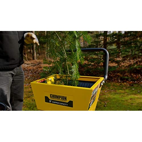 Champion Power Equipment 200905 3-Inch Portable Chipper-Shredder w...
