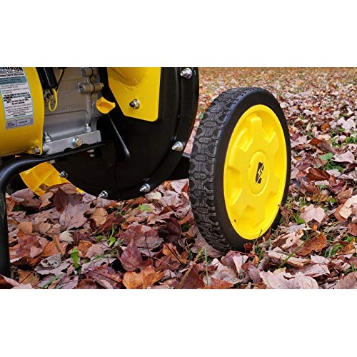 Champion Power Equipment 200905 3-Inch Portable Chipper-Shredder w...
