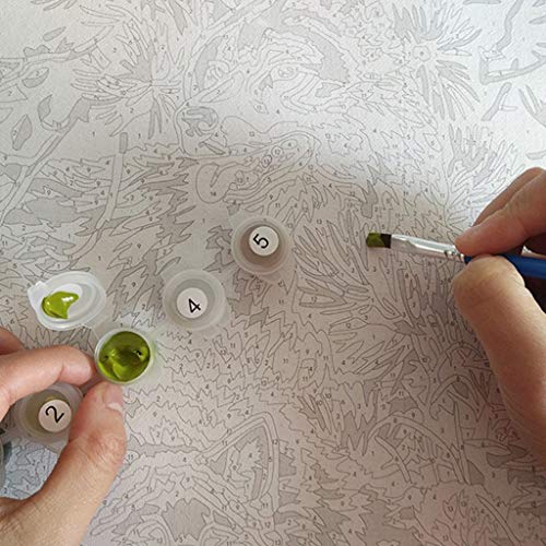 Changeshopping DIY Paint by Number, Adult Oil Landsacpe Painting A...