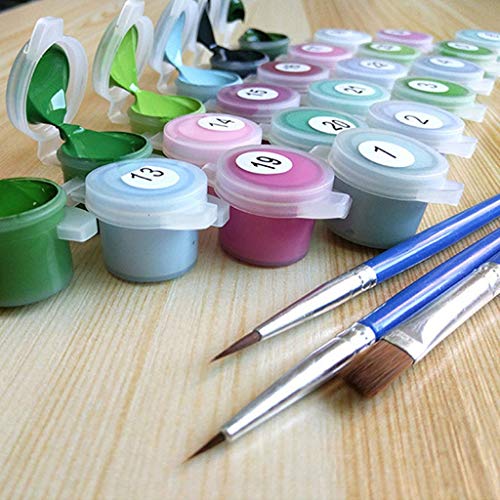 Changeshopping DIY Paint by Number, Adult Oil Landsacpe Painting A...