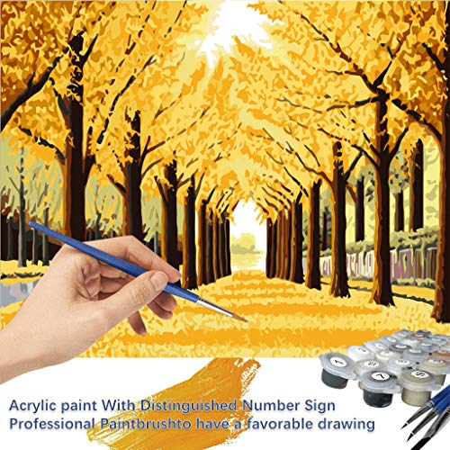 Changeshopping DIY Paint by Number, Adult Oil Landsacpe Painting A...