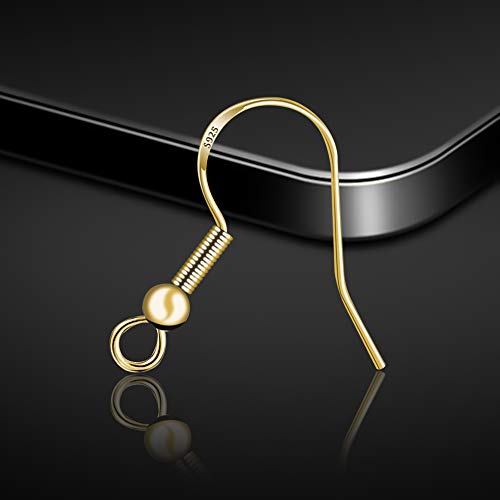 CHANSBO Earring Hooks, 925 Sterling Silver & Gold Ear Wires Each 5...