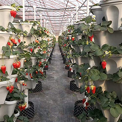 CHAOMIC Stackable Garden Planters Stackable Vertical Planter Set S...