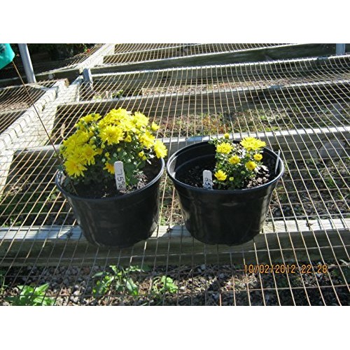 Charlies Compost 10 lb