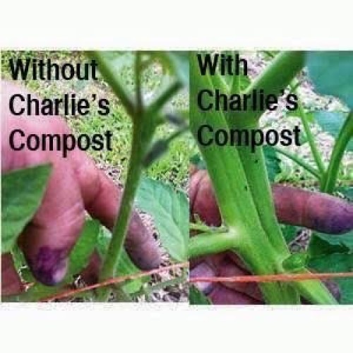 Charlies Compost 10 lb