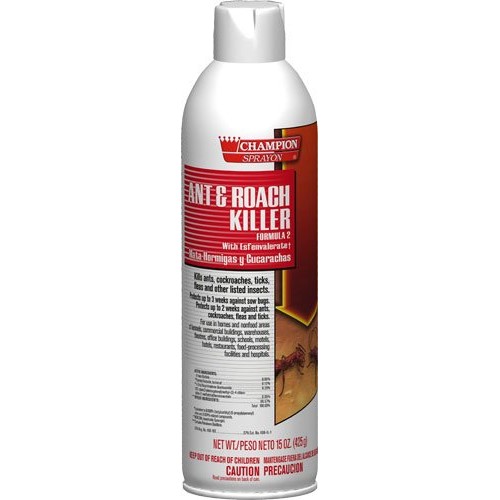 Ant/Ant & Roach Killer, Case of 12 20 oz. Cans