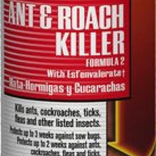 Ant/Ant & Roach Killer, Case of 12 20 oz. Cans
