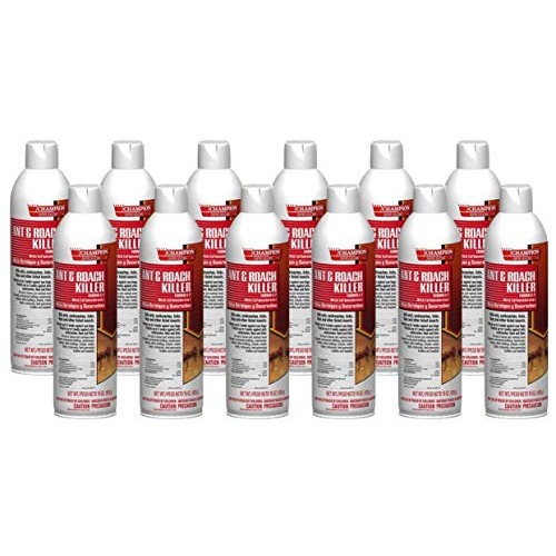 Ant/Ant & Roach Killer, Case of 12 20 oz. Cans