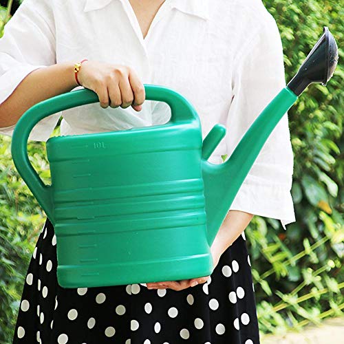 Large Green Watering Can for Outdoor House Plants Long Spout Garde...