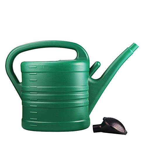 Large Green Watering Can for Outdoor House Plants Long Spout Garde...