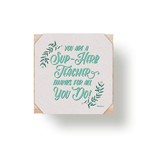 Cheersville Desk Plant for Office or Classroom Decor - Growing Kit...