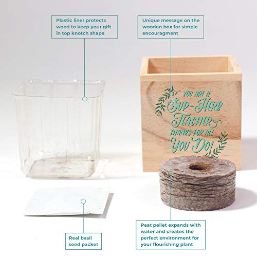 Cheersville Desk Plant for Office or Classroom Decor - Growing Kit...