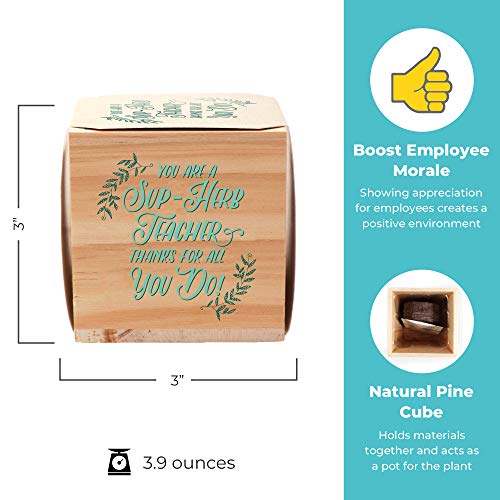 Cheersville Desk Plant for Office or Classroom Decor - Growing Kit...