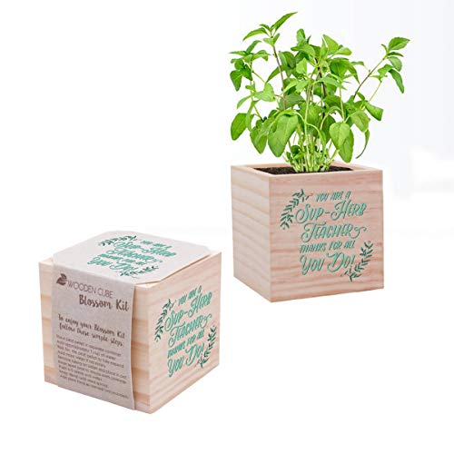Cheersville Desk Plant for Office or Classroom Decor - Growing Kit...