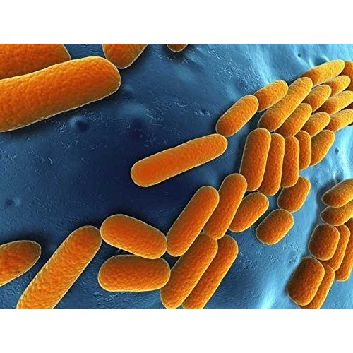 Lemocide Cleans and disinfects Hard Surfaces. Clean Lemon Scent 1...