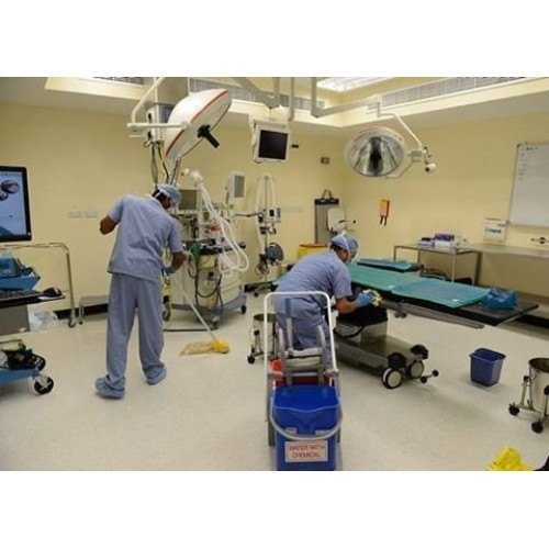 Lemocide Cleans and disinfects Hard Surfaces. Clean Lemon Scent 1...