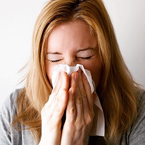 Lemocide Cleans and disinfects Hard Surfaces. Clean Lemon Scent 1...