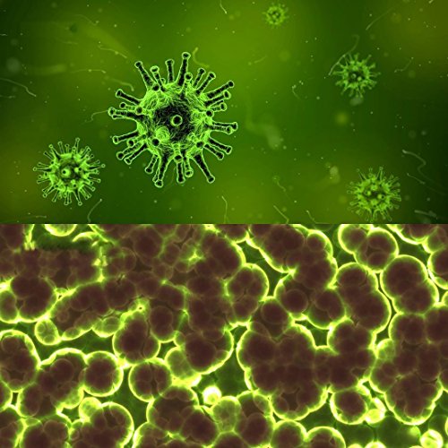 Lemocide Cleans and disinfects Hard Surfaces. Clean Lemon Scent 1...