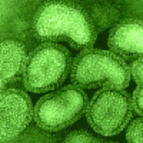 Lemocide Cleans and disinfects Hard Surfaces. Clean Lemon Scent 1...