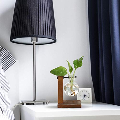 chengyan Desktop Planter Bulb Vase, Glass Plant Terrarium with Ret...