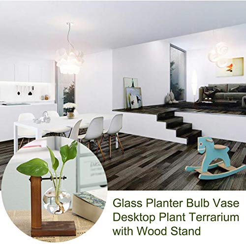 chengyan Desktop Planter Bulb Vase, Glass Plant Terrarium with Ret...