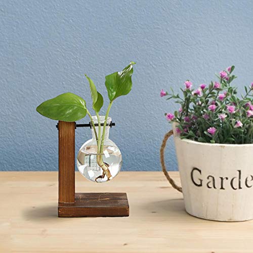 chengyan Desktop Planter Bulb Vase, Glass Plant Terrarium with Ret...