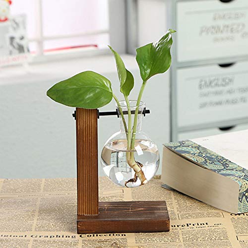 chengyan Desktop Planter Bulb Vase, Glass Plant Terrarium with Ret...