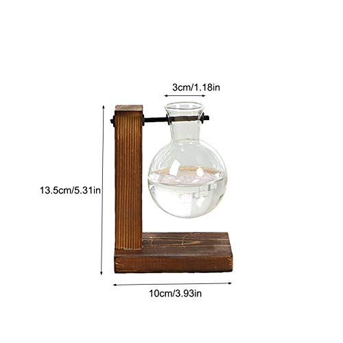 chengyan Desktop Planter Bulb Vase, Glass Plant Terrarium with Ret...