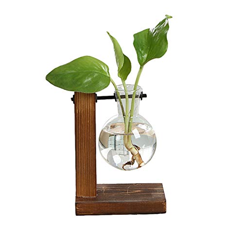 chengyan Desktop Planter Bulb Vase, Glass Plant Terrarium with Ret...
