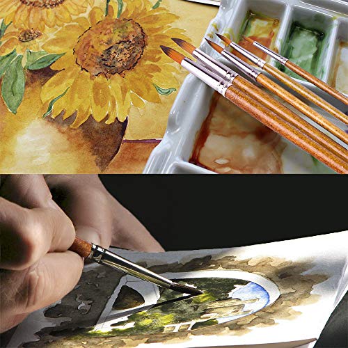 CHIHIC Artist Watercolor Brushes, Round Pointed Tip Paint Brushes ...