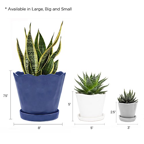Chive - 8 Large Tika Succulent and Cactus Planter Pot - Ceramic F...