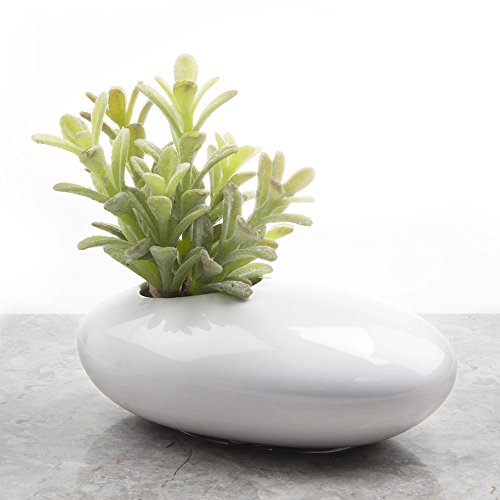 Chive – Pebble Ceramic, Multi Use Indoor Planter Pot, Ikebana Flow...
