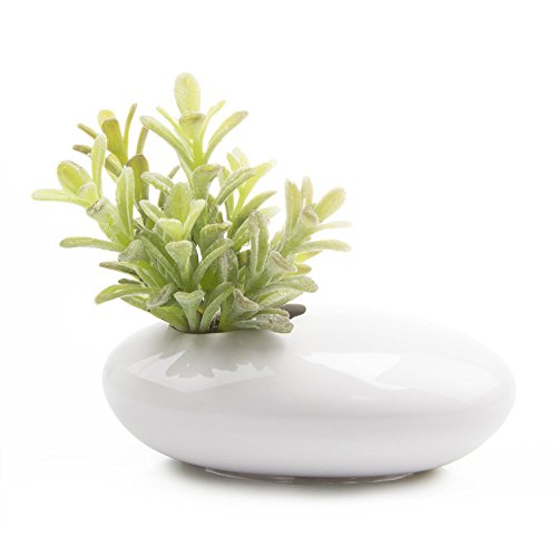 Chive – Pebble Ceramic, Multi Use Indoor Planter Pot, Ikebana Flow...
