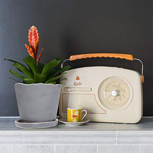 Chive - Tika, Succulent and Cactus Pot and Saucer Ceramic Flower a...