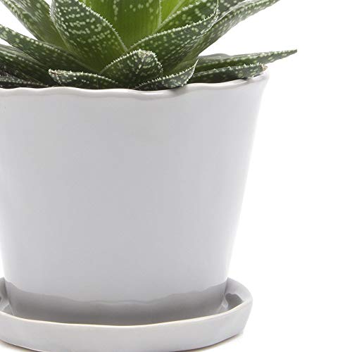 Chive - Tika, Succulent and Cactus Pot and Saucer Ceramic Flower a...