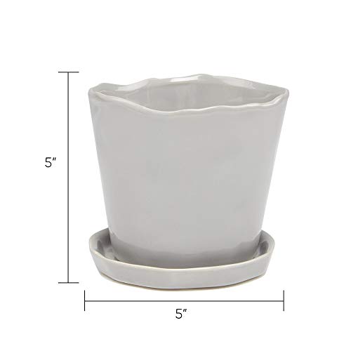 Chive - Tika, Succulent and Cactus Pot and Saucer Ceramic Flower a...