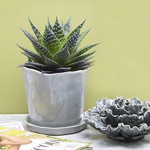 Chive - Tika, Succulent and Cactus Pot and Saucer Ceramic Flower a...
